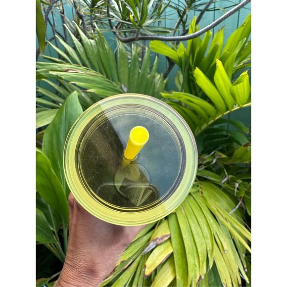 297. Starbucks Holiday 2022 Venti Stainless Steel Sangria Tumbler… - Picture 5 of 5